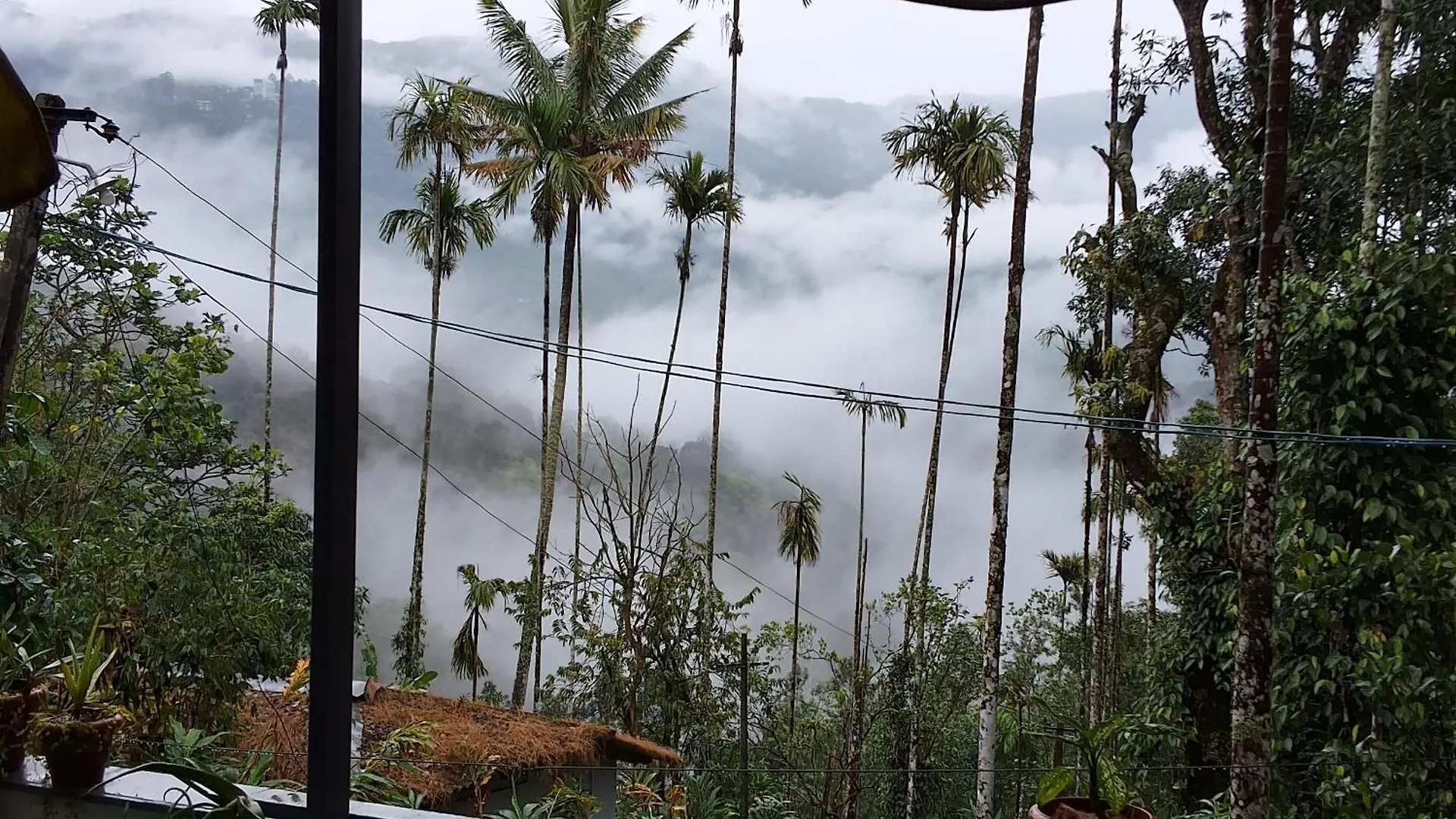 Krish Villa Homestay Munnar